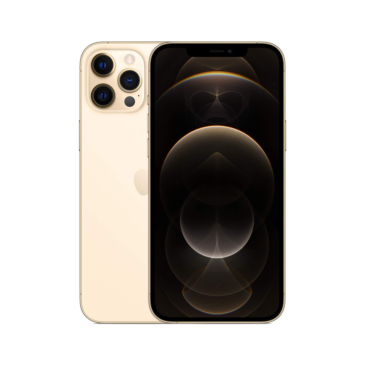 iPhone 12 Pro Max 256GB (New) - buckgadget